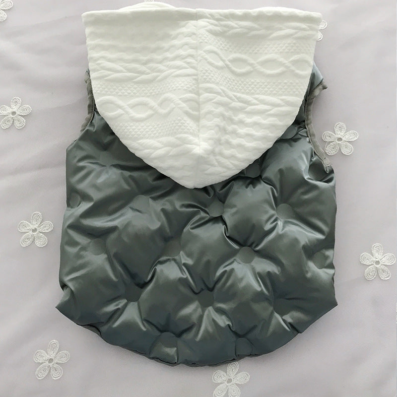 Fat dog bright winter cotton coat