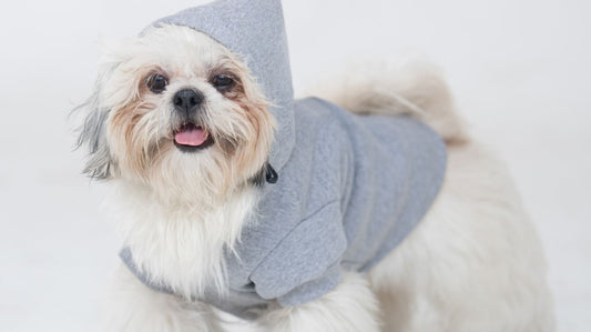 Dog Raincoats With Reflective Lining