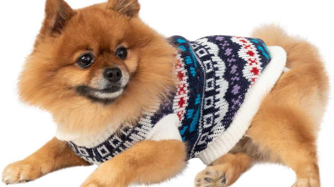 Tips in Buying the Perfect Dog Sweaters