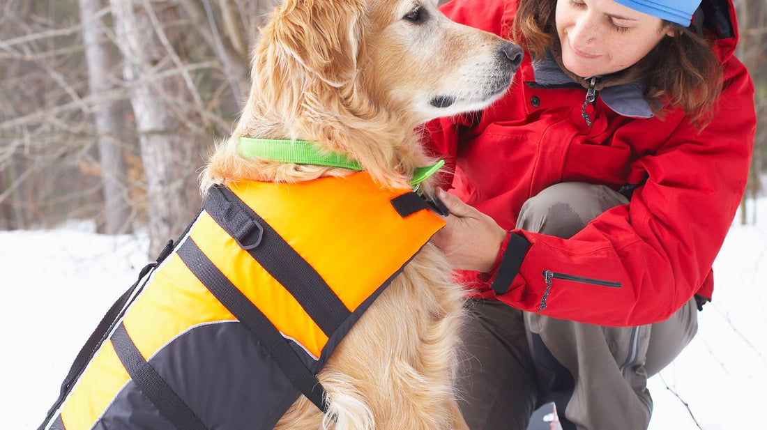 Dog Clothes For Winter Season