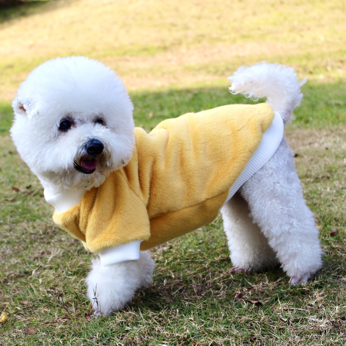 Pet Clothing Warm In Autumn And Winter Casual Dog Cat Clothing Mink Fur Thickened