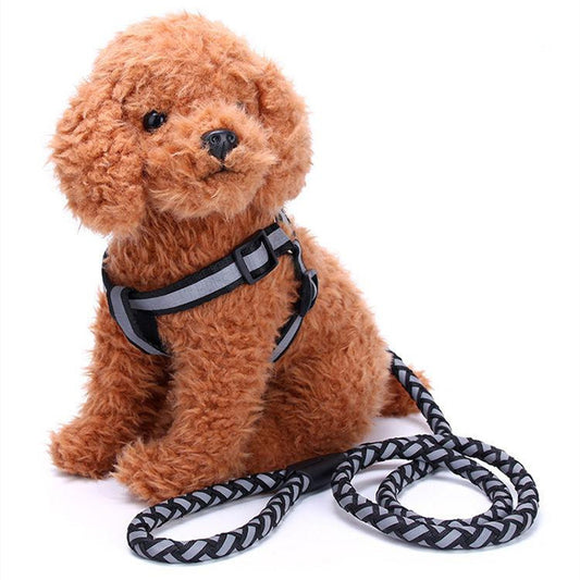 Reflective Nylon Braided Pet Leash Harness Set