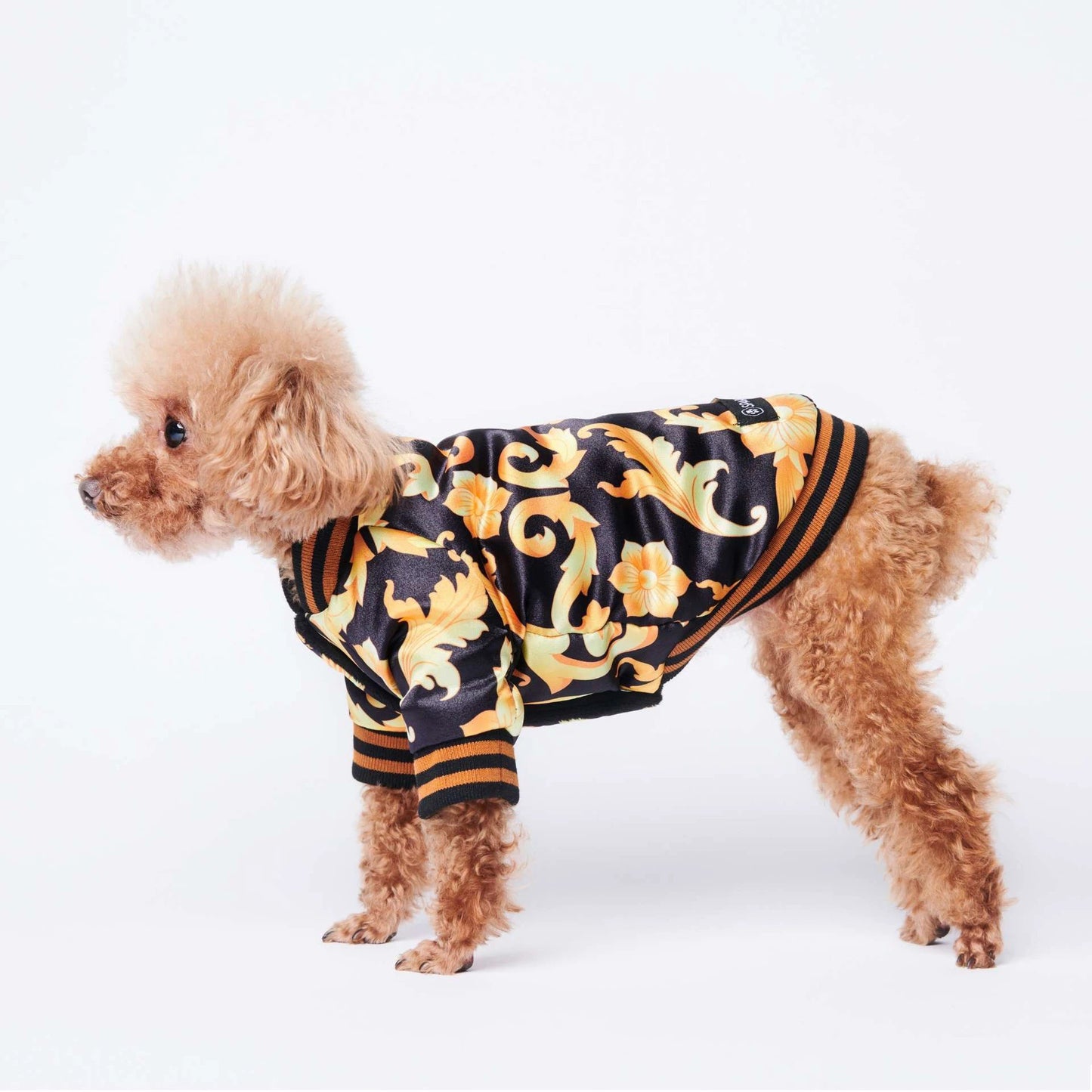 Warm plus cotton tide brand dog coat