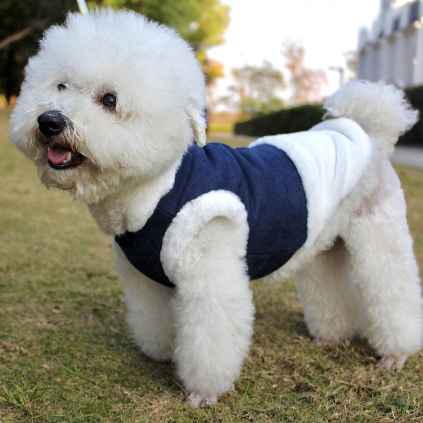 Pet Clothes Plush Warm Dog Vest Vest Style Dog Clothes Fur Collar Pet