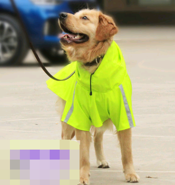 Spring and summer new dog raincoat waterproof cape dog reflective raincoat