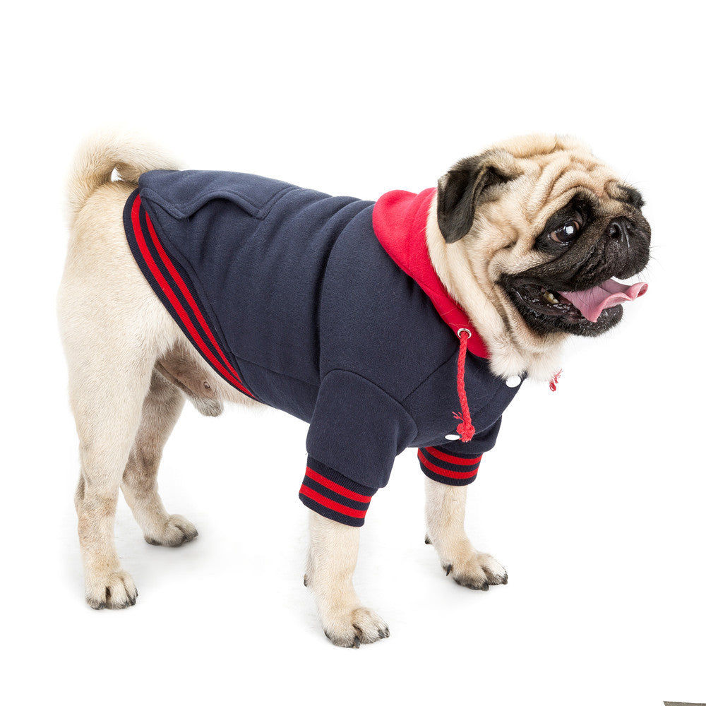 High-end pet clothes color matching sweater with pocket