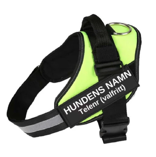 Pet Chest Strap With Dog Leash