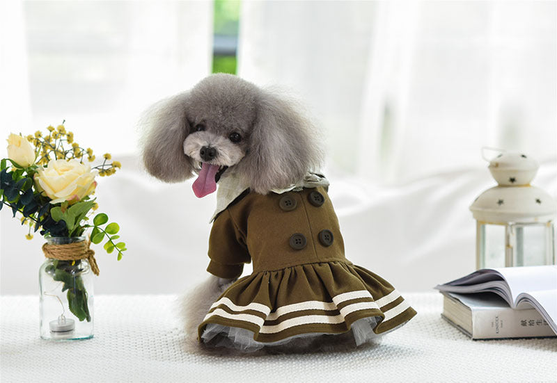 Pet clothes autumn and winter princess dress