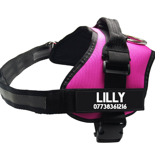 Pet Chest Harness  Dog Leash  Pet Supplies