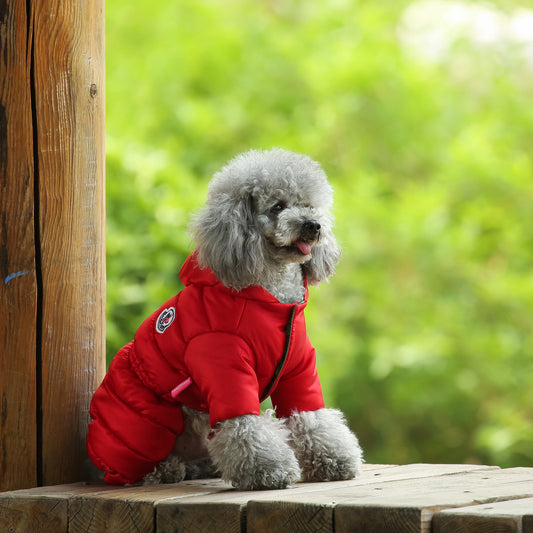 Dog down jacket