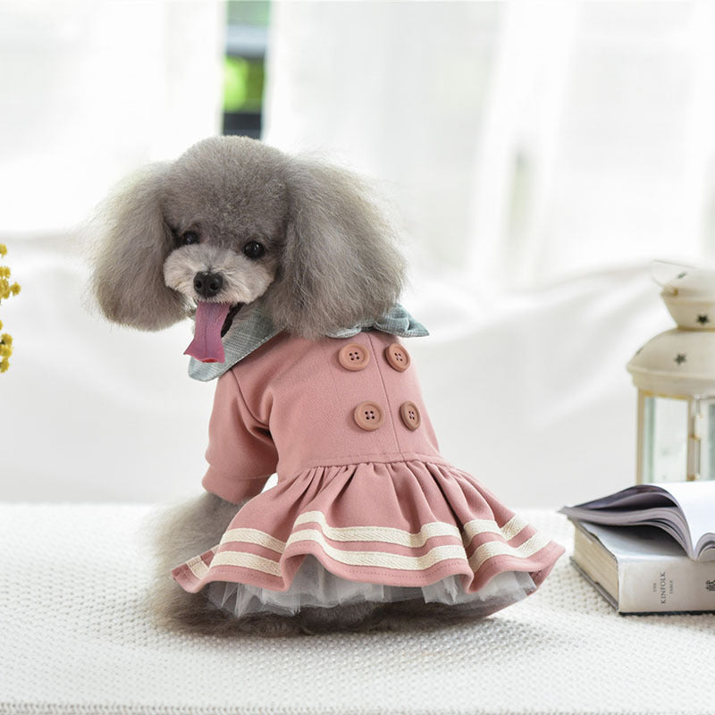 Pet clothes autumn and winter princess dress