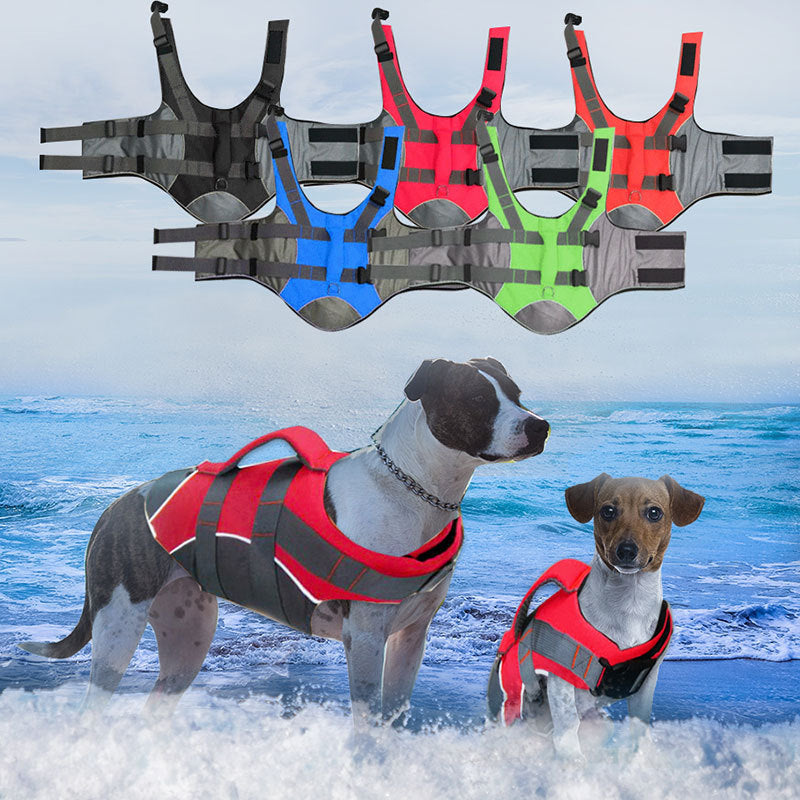 Dog swimwear vest