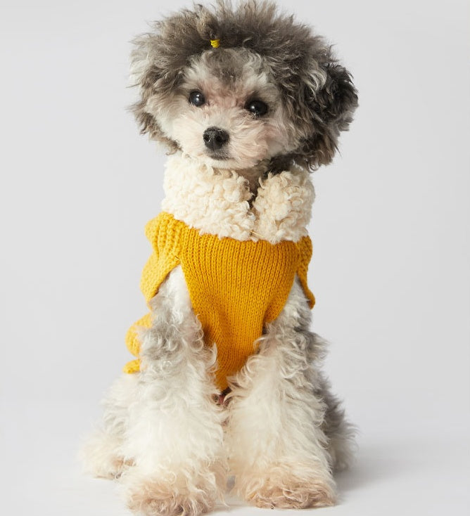 Warm autumn and winter bowknot dog cat clothes