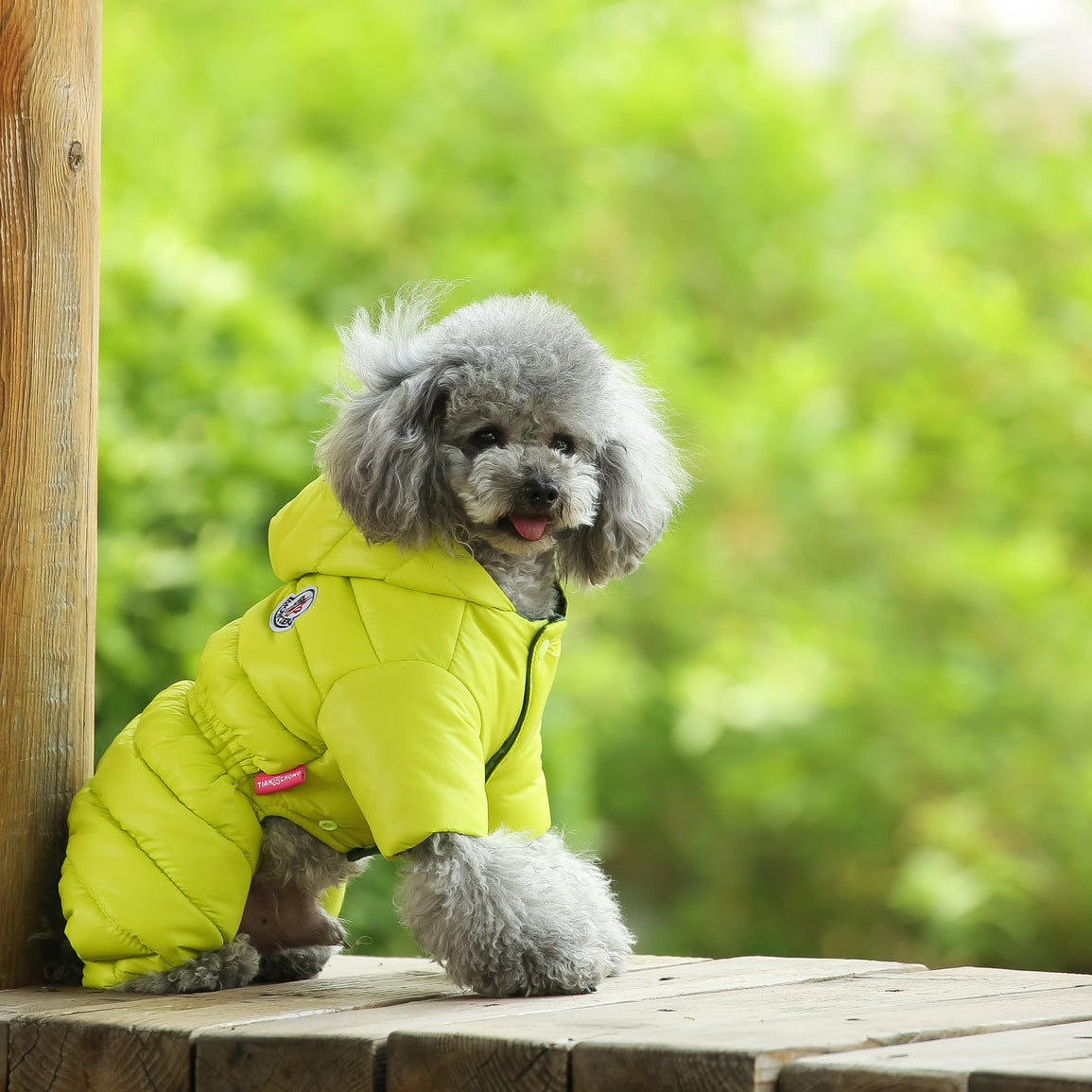 Dog down jacket