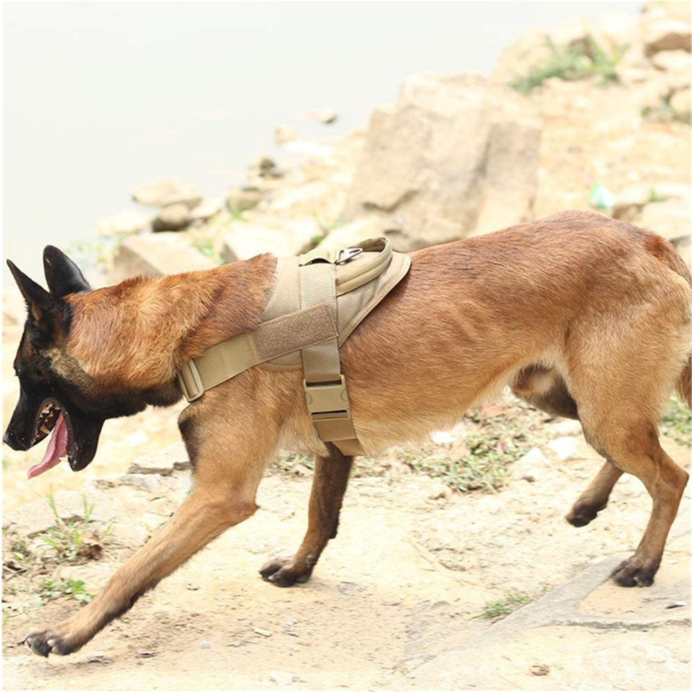 Five-Color High-Quality Tactical Training Dog Vest Lightweight