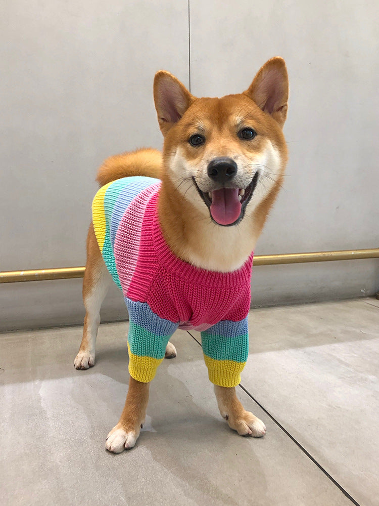 Rainbow Dog Sweater