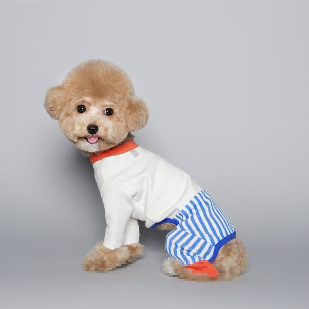 Pet Dog Fashion Color Blocking Jumpsuit