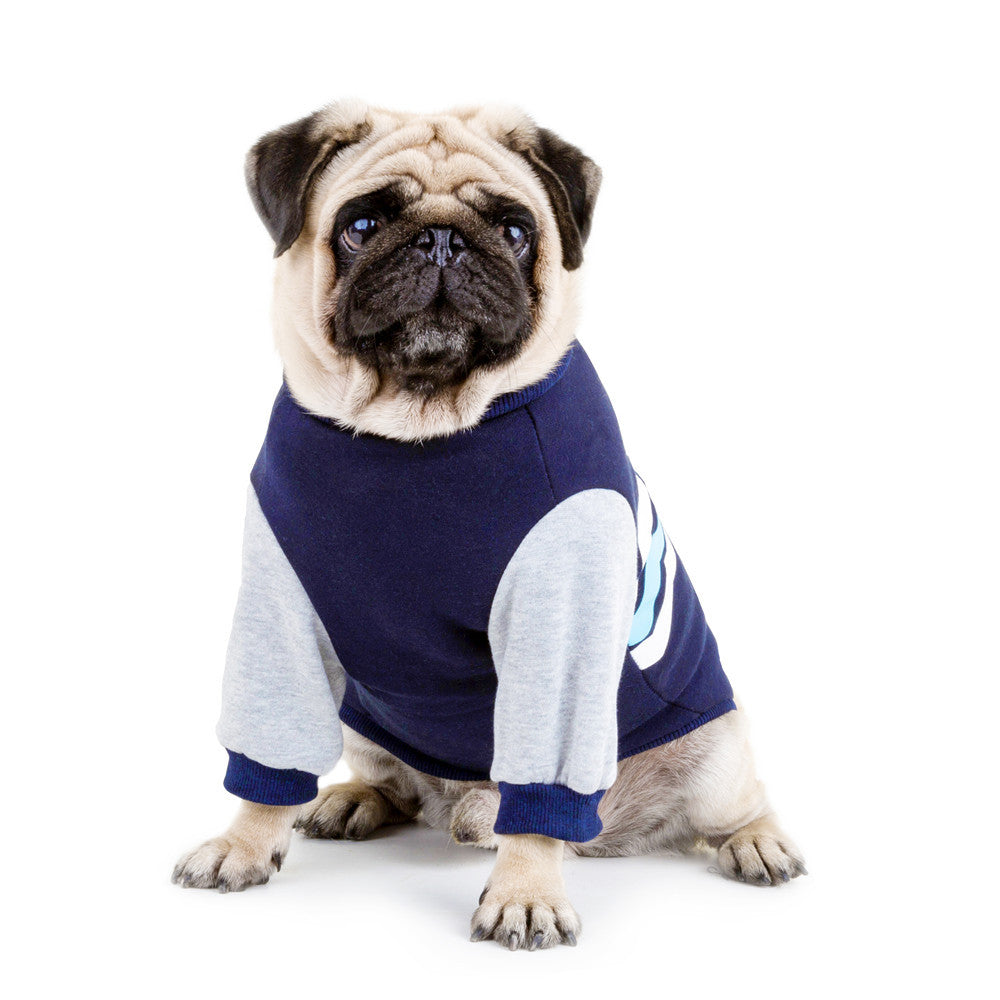 Wavy Two-legged Hoodie Dog Clothes