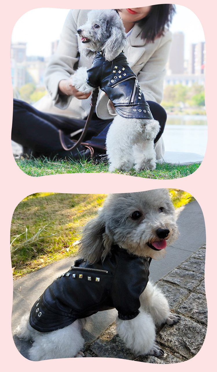 Pet Leather Coat Dog Fashion Brand Clothes Korean Style