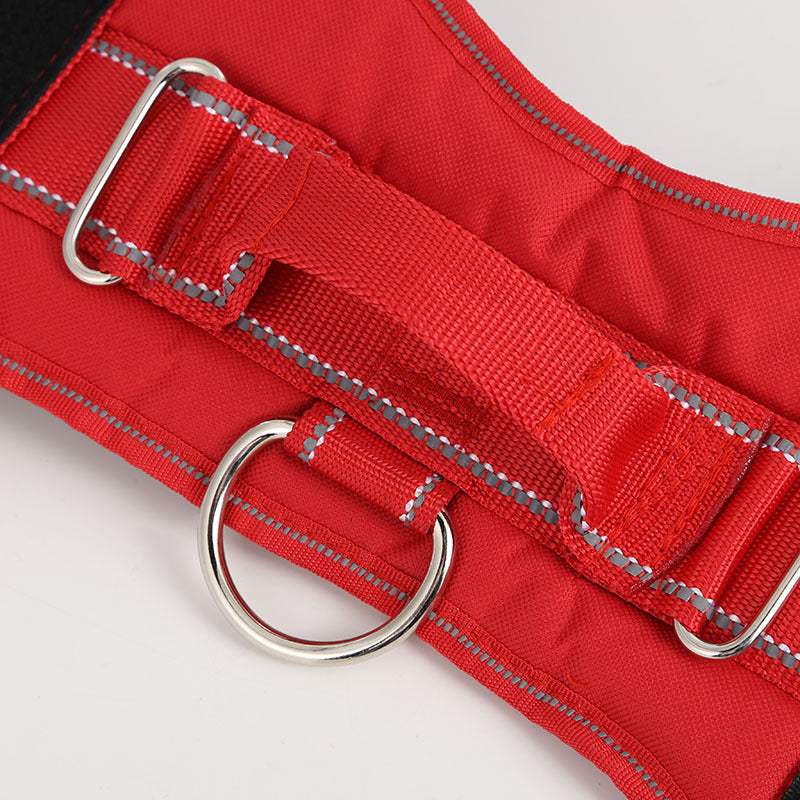 Dog chest strap with explosion-proof