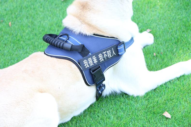 Chest strap vest type medium and large dog leash