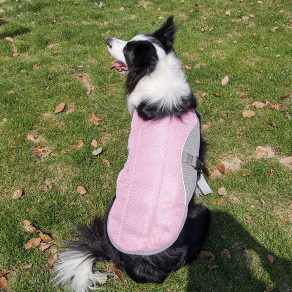 Summer dog cooling vest