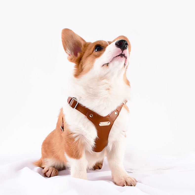 Leather Pet Dog Chest And Back