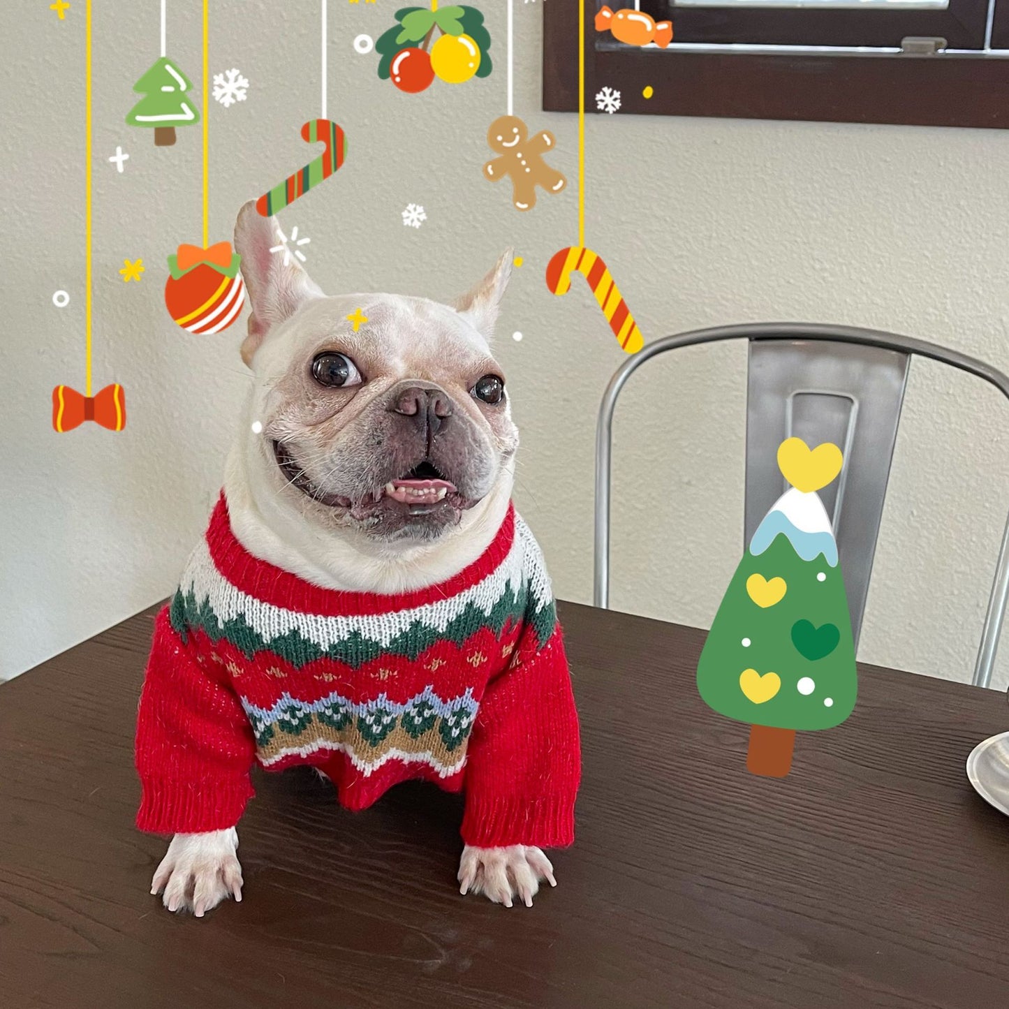 Pet Christmas Sweater Dog Cat Fight