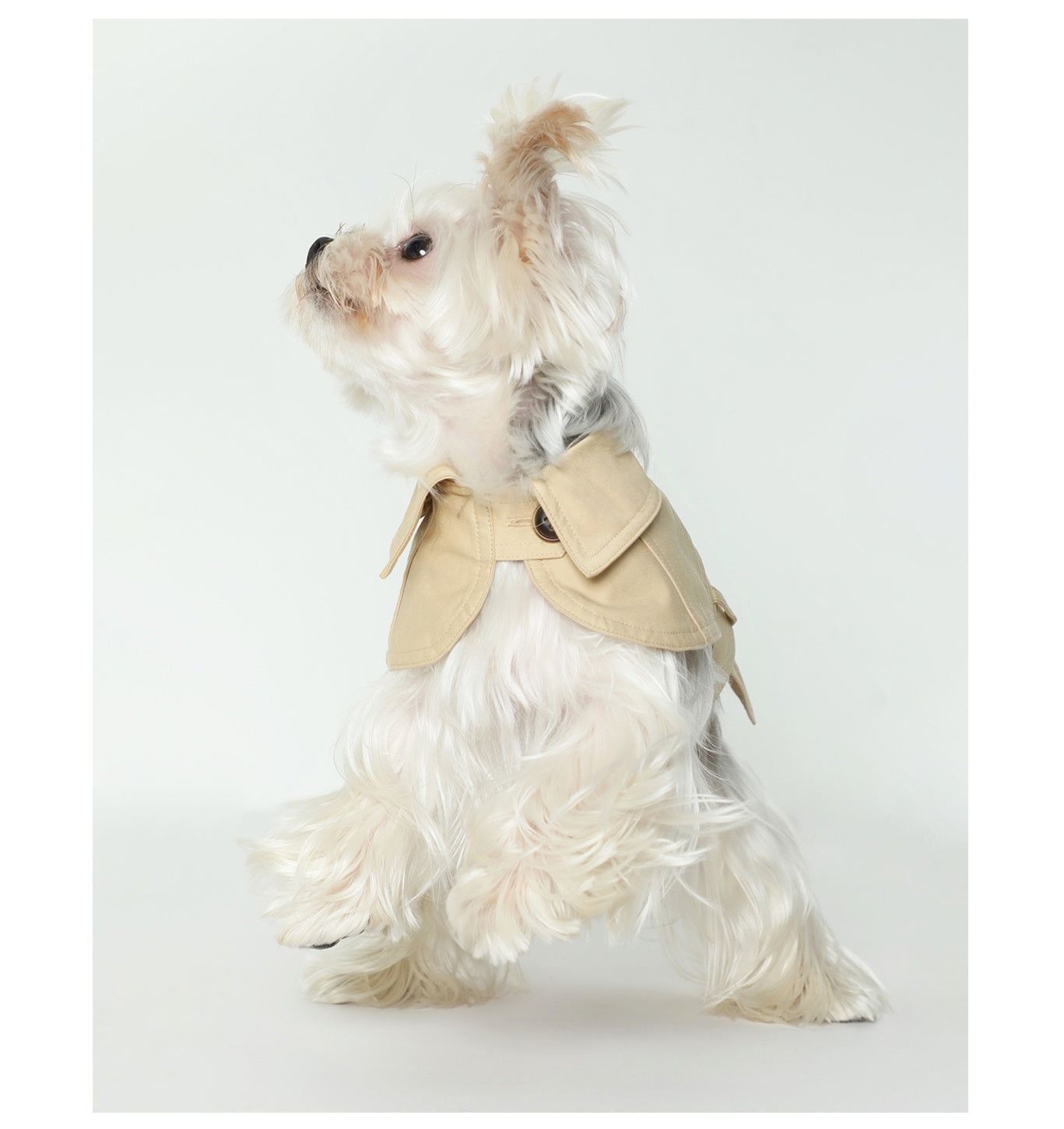 Summer Pet Clothes Dog British Trench Coat