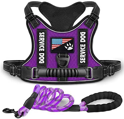 Shock Absorption Comfortable Night Vision Reflective Pet Harness