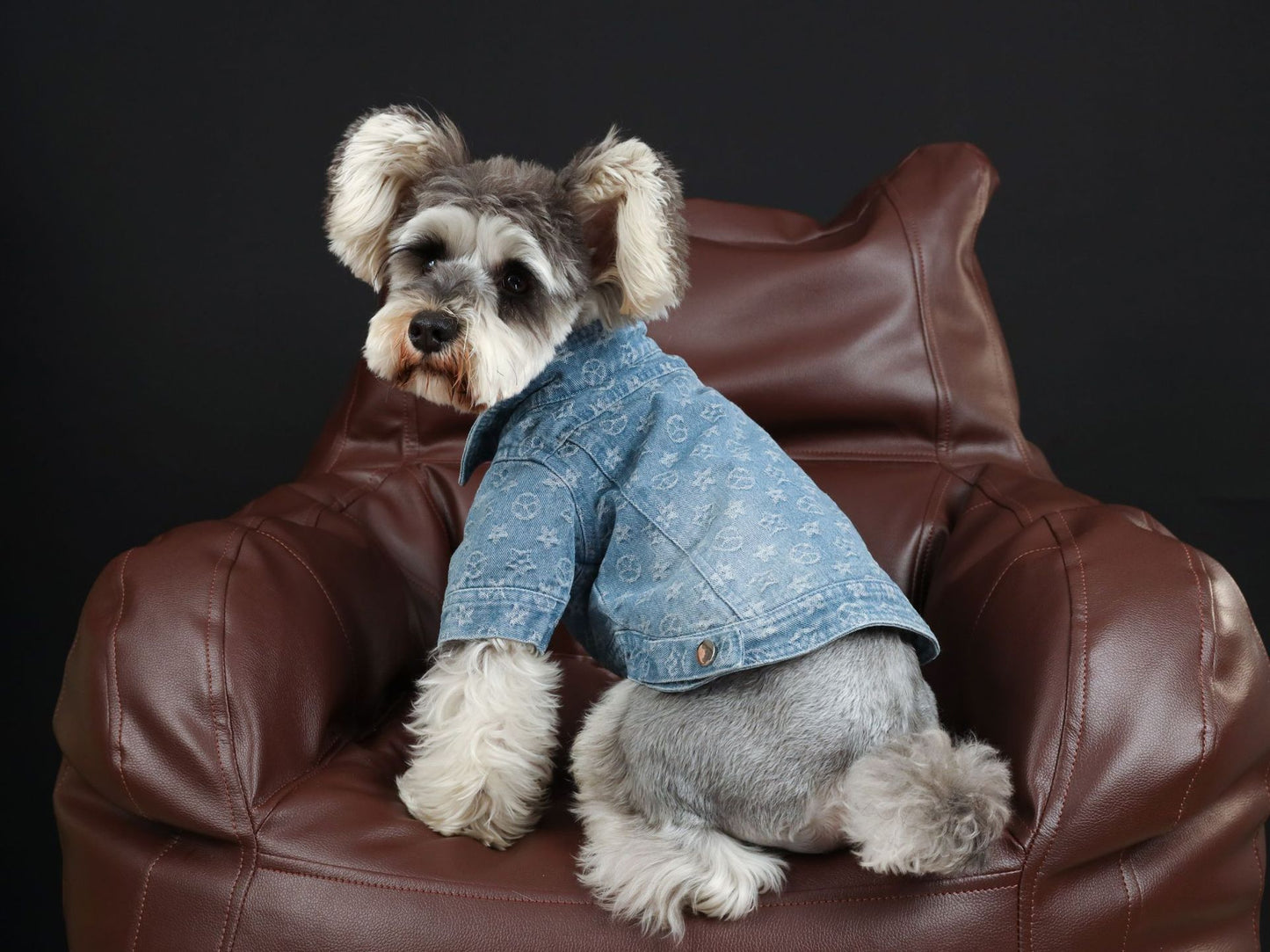 Pet Clothes Spring Summer Presbyopia Denim Shirt