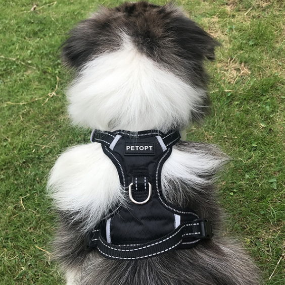 Medium and large dog vest type dog rope