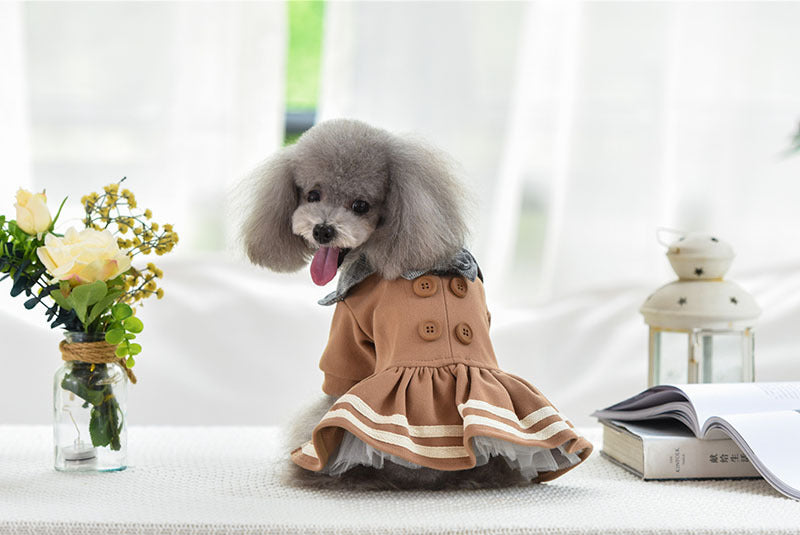 Pet clothes autumn and winter princess dress