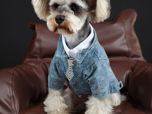 Pet Clothes Spring Summer Presbyopia Denim Shirt