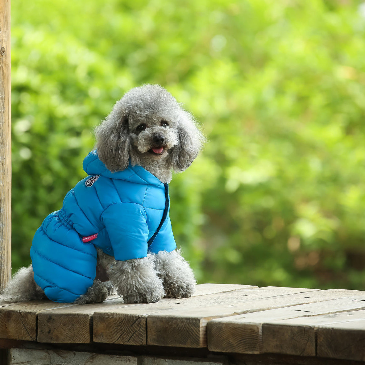 Dog down jacket