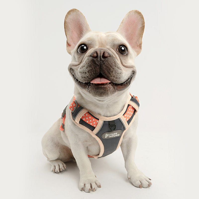 Dog chest strap