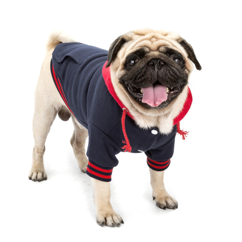 High-end pet clothes color matching sweater with pocket