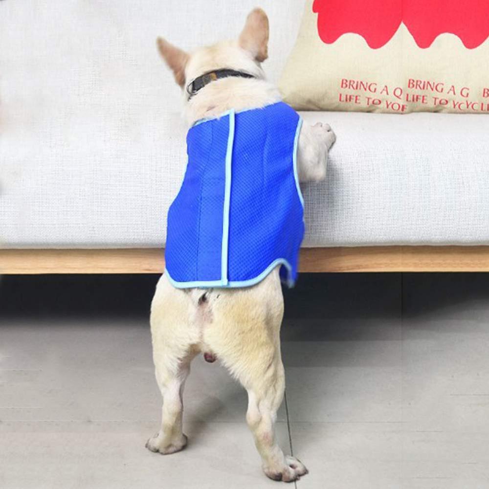 Dog cooling vest