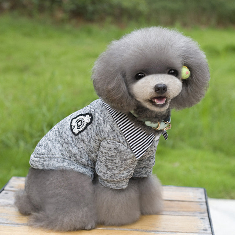 Pet dog hoodie