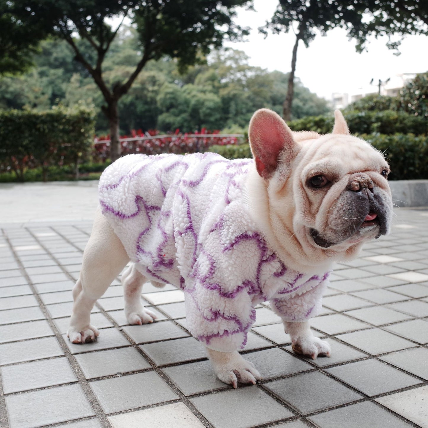 Autumn And Winter Dog Thickened Grain Fleece Coat