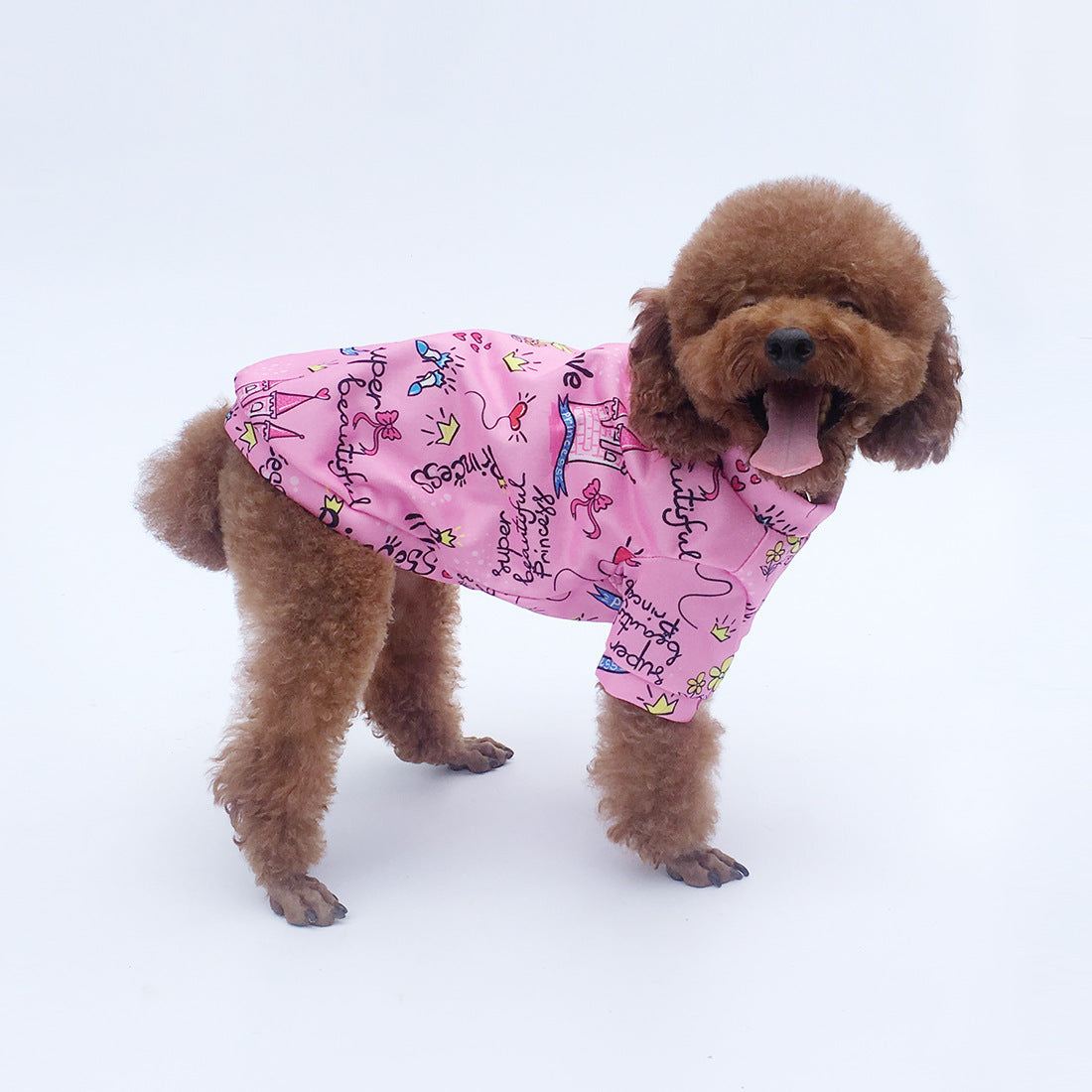 Dog Clothes Autumn And Winter Princess Hoodie With Velvet