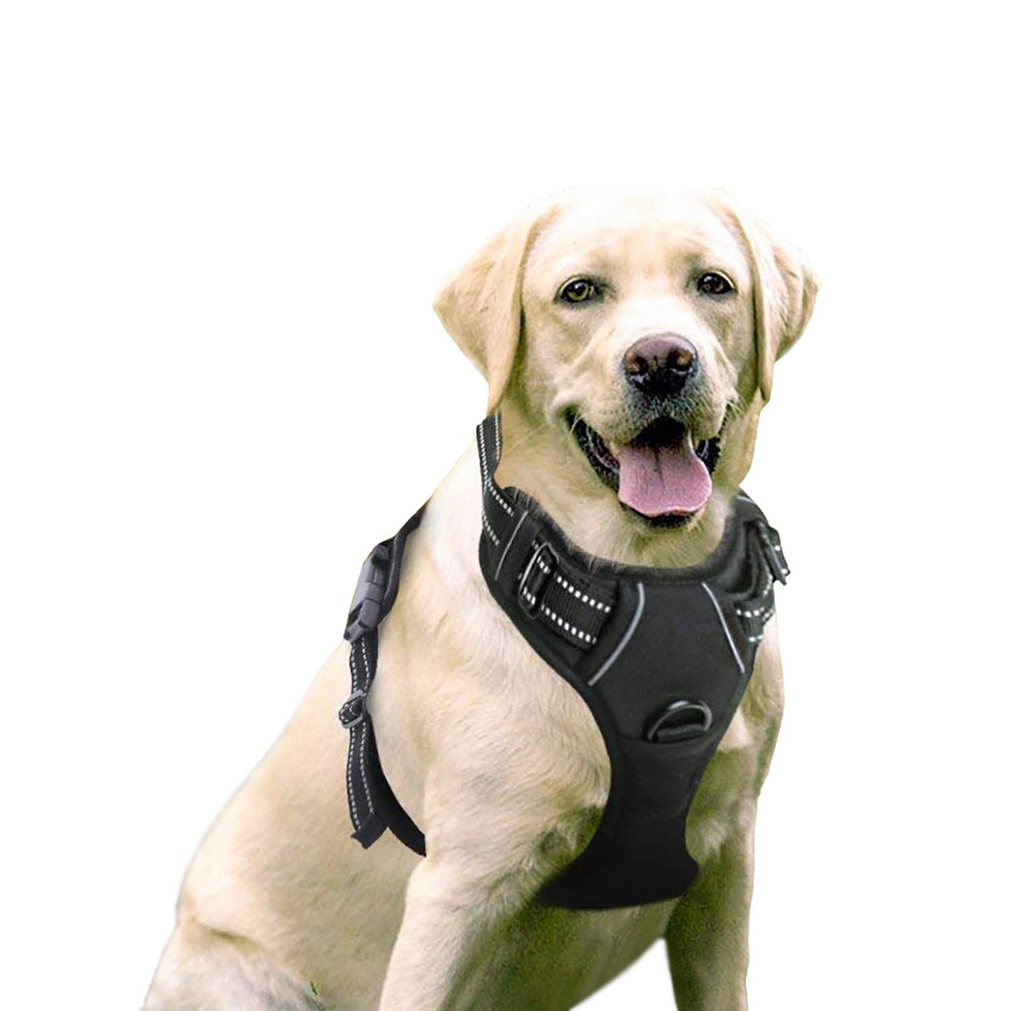 Medium and large dog vest type dog rope