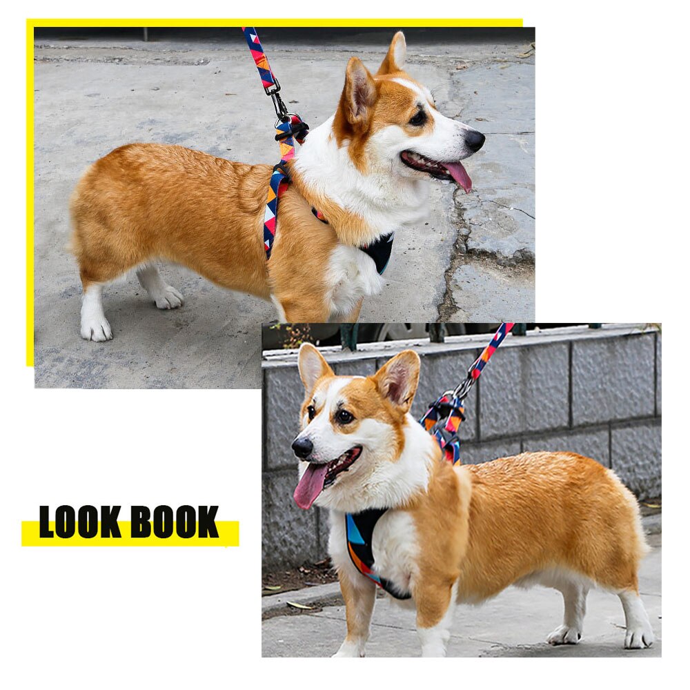 Dog's chest harness traction rope