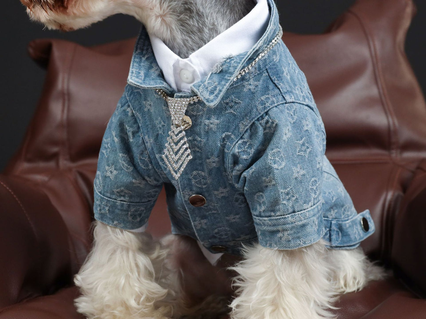 Pet Clothes Spring Summer Presbyopia Denim Shirt