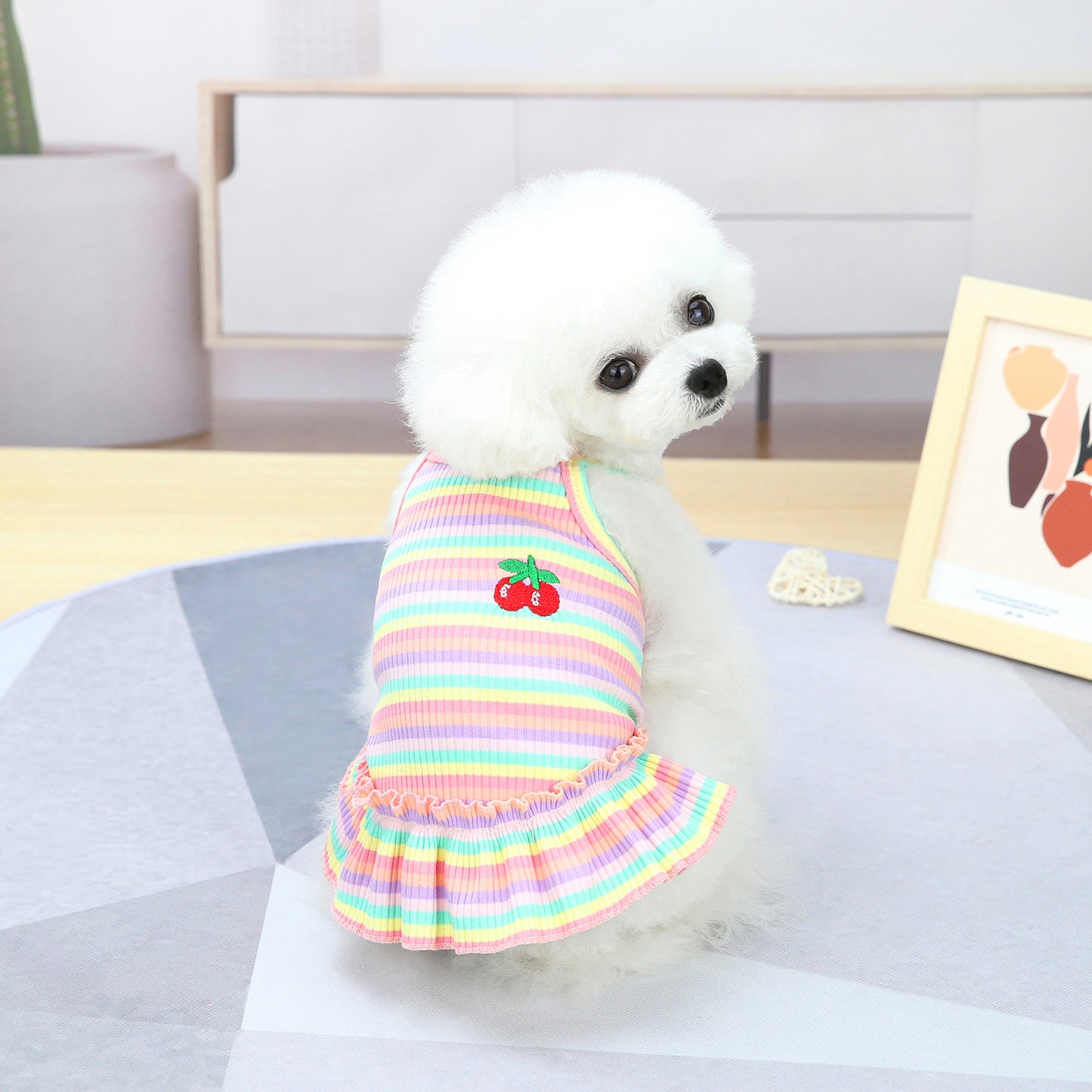 Pet Clothes Dog Color Stripes Skirt Vest