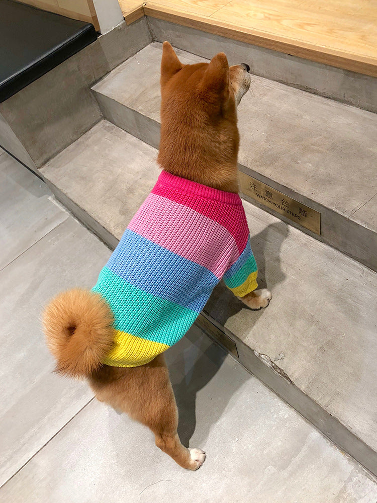 Rainbow Dog Sweater