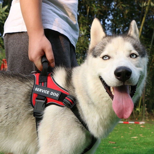 Chest strap vest type medium and large dog leash