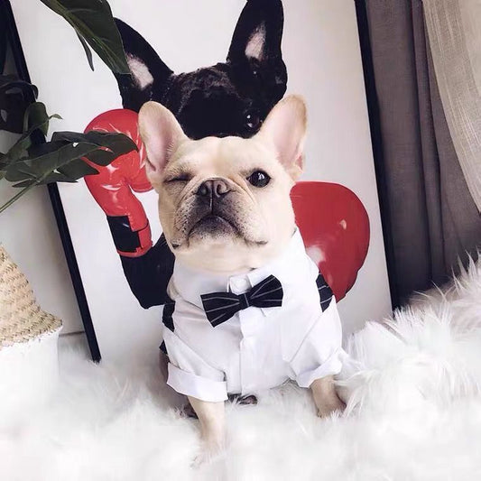 Creative And Simple Pet Dog Suit Shirt Coat