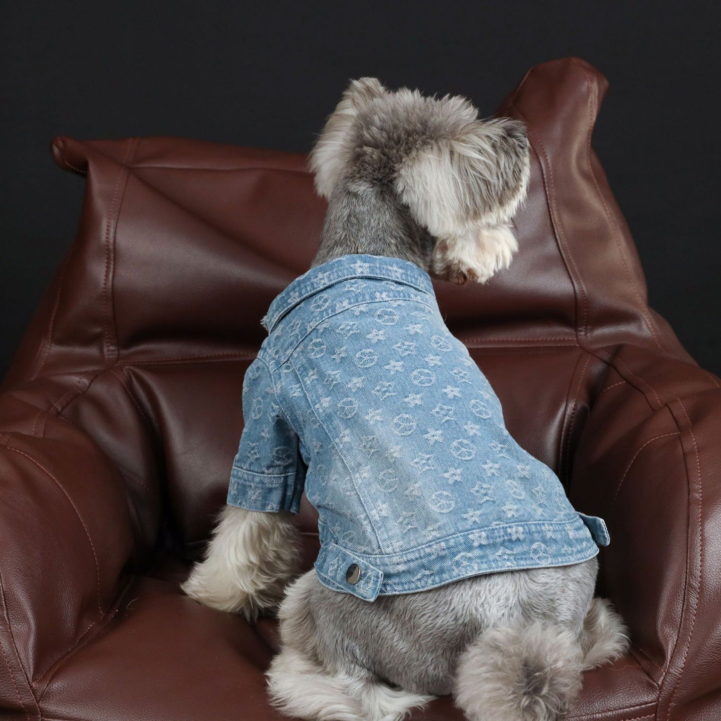 Pet Clothes Spring Summer Presbyopia Denim Shirt