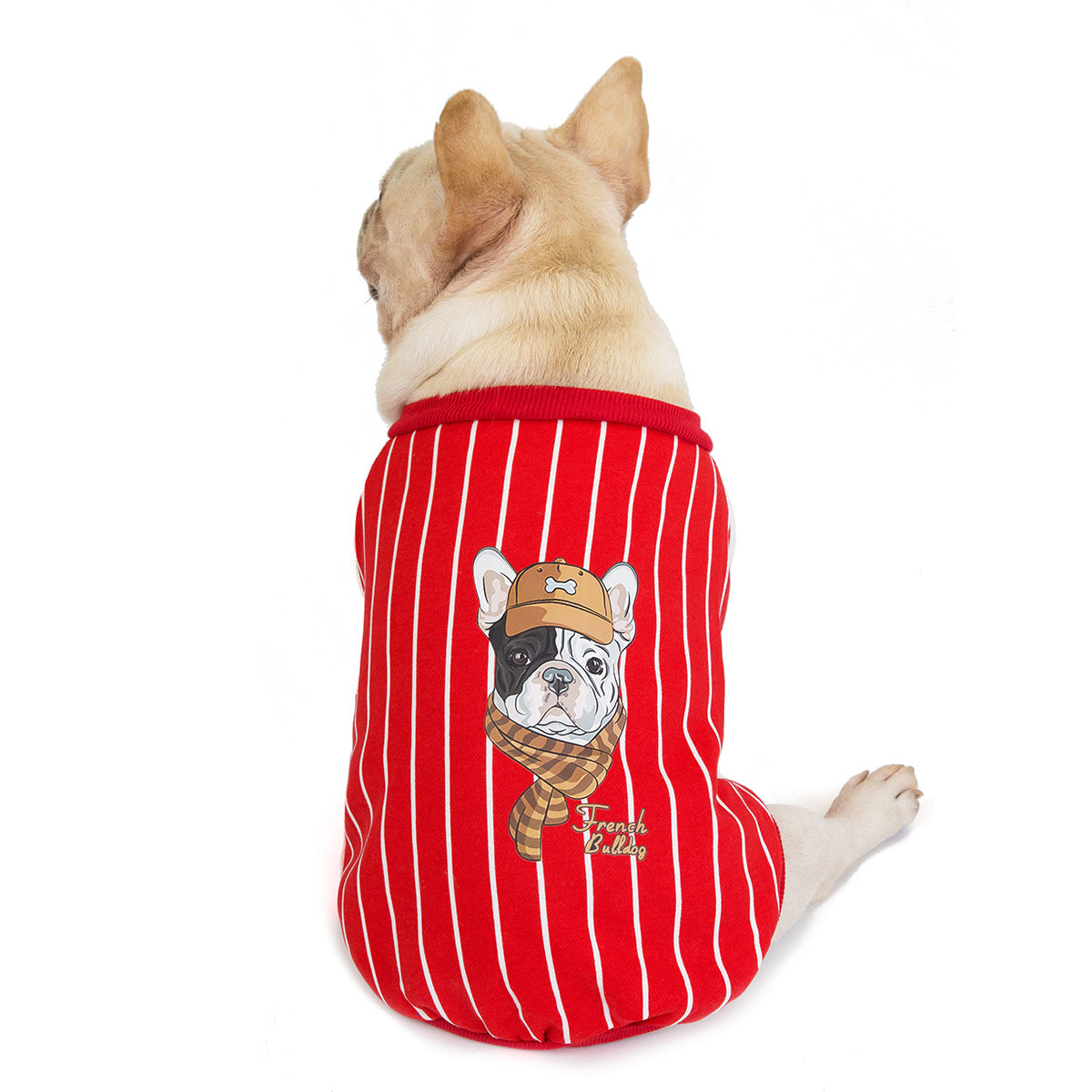 Bulldog dog clothes